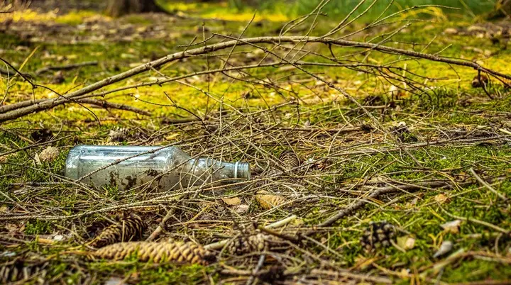 Eine leere Flasche im Wald | © Kamil Miłkowski/ pixabay