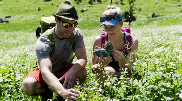 Bitte beachten: Wegen des BFSG benötigen alle Bilder einen aussagekräftigen Alt-Tag | © DAV