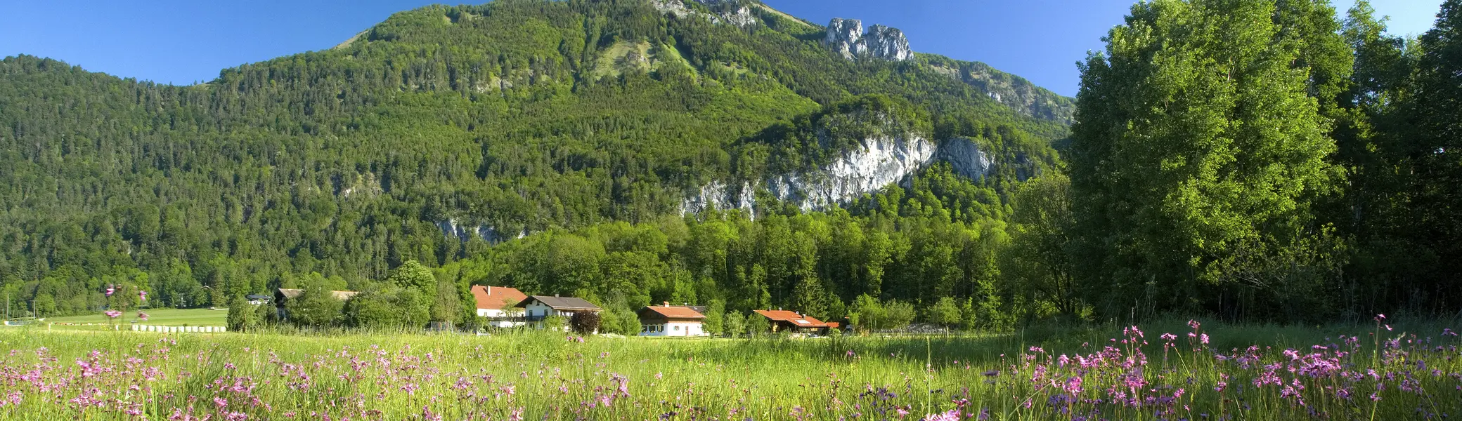 Bitte beachten: Wegen des BFSG benötigen alle Bilder einen aussagekräftigen Alt-Tag | © DAV / Vodermeier