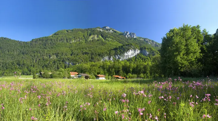 Bitte beachten: Wegen des BFSG benötigen alle Bilder einen aussagekräftigen Alt-Tag | © DAV / Vodermeier